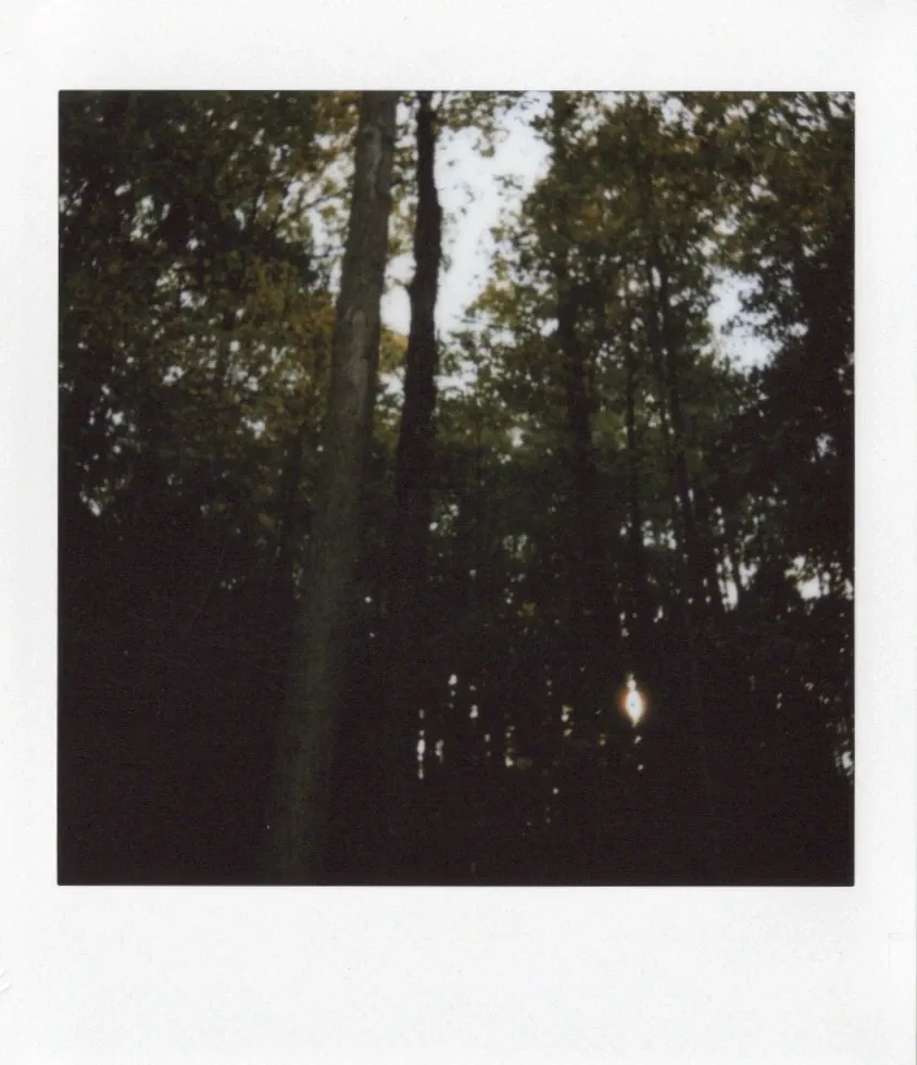 Тёмный отпечаток леса, полученный при тестировании instax SQUARE 2